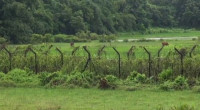 India pushes 10 people into Bangladesh via Moulvibazar Border